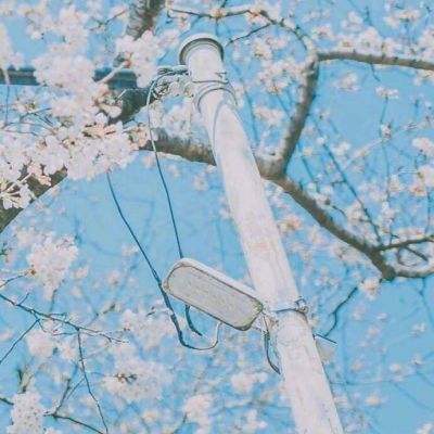 2023澳门资料大全正版下载手机版截图