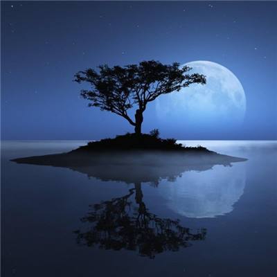 49图库一资料中心app下载