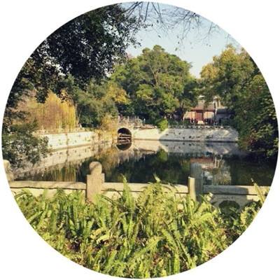 官方盈彩app下载