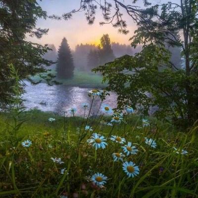 官方盈彩app下载截图