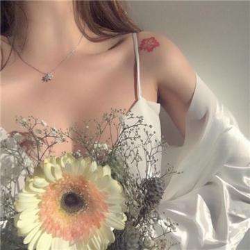 米乐·M6下载手机版